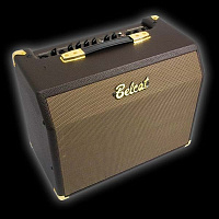 BELCAT Acoustic-25C