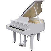 ROLAND GP 9 PW