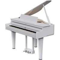 ROLAND GP 6 PW