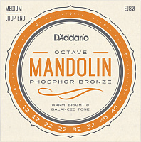 D'ADDARIO EJ80