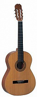 PEREZ 620 Spruce