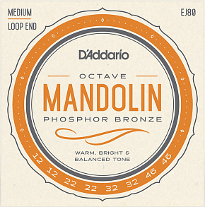 D'ADDARIO EJ80