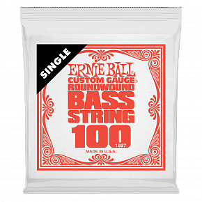 ERNIE BALL 1697