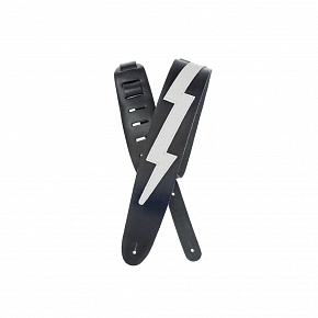 PLANET WAVES 25LIC03