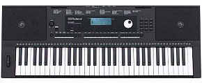 ROLAND E-X20