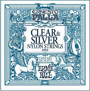ERNIE BALL P02403