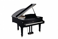 MEDELI GP805