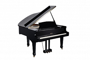 MEDELI GP805