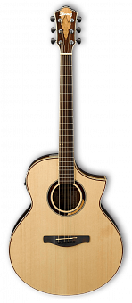 IBANEZ AEW51-NT