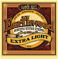 ERNIE BALL P02006