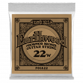 ERNIE BALL 1822