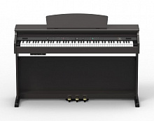 ARTESIA DP-30 Rosewood