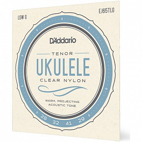 D'ADDARIO EJ65TLG