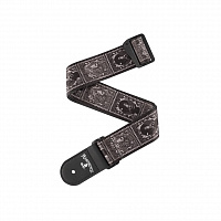 PLANET WAVES 50AL09