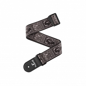 PLANET WAVES 50AL09