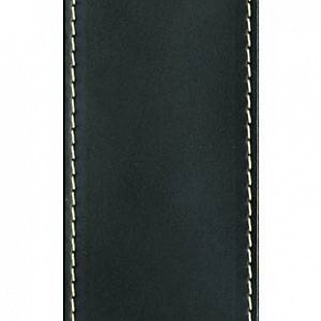 PLANET WAVES 25LS01-DX