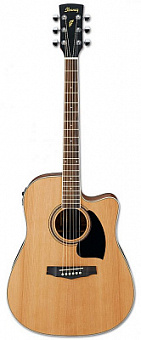 IBANEZ PF17ECE-LG DREADNOUGHT