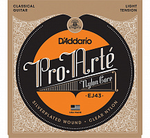 D'ADDARIO EJ43