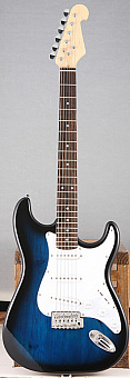 HOMAGE HEG300BLS