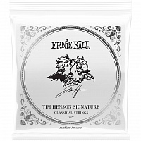ERNIE BALL 3829 Tim Henson Clear and Silver Medium 28-42