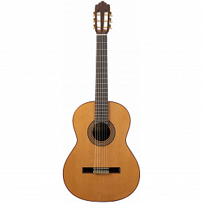 ALTAMIRA N300+ CASE