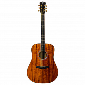 ROCKDALE Aurora D7 Koa NAT