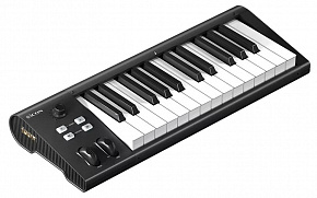 ICON Artist 25