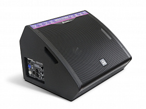 AURASONICS SOLO D12M