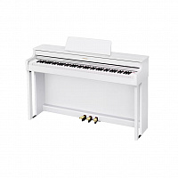 CASIO AP-300WE