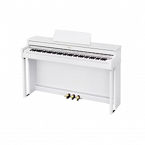 CASIO AP-300WE