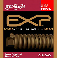 D'ADDARIO EXP74