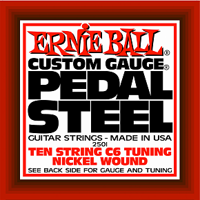 ERNIE BALL 2501