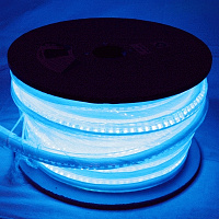 INVOLIGHT DRL25