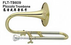 CONDUCTOR FLT-TB609