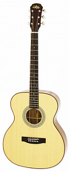 ARIA 209 N