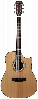 ARIA 211CE N