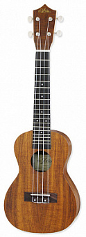 ARIA ACU-1K