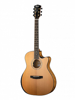 CORT Gold-Edge-WCASE-NAT