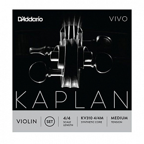 D'ADDARIO KV313 4/4M