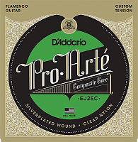 D'ADDARIO EJ25C