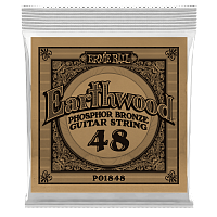 ERNIE BALL 1848