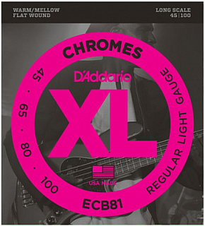 D'ADDARIO ECB81