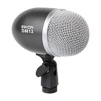 PROEL EIKON DM12