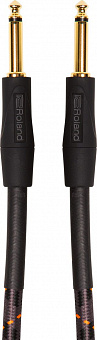 ROLAND RIC-G20
