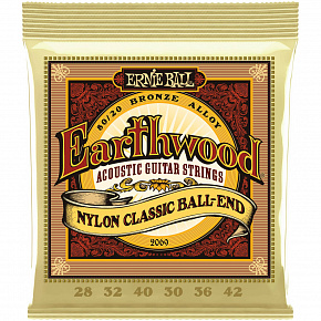 ERNIE BALL 2069