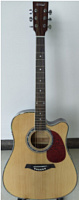 HOMAGE LF-4121SCEQ-N