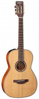 TAKAMINE CP400NYK