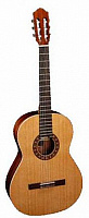 PEREZ 610 Spruce