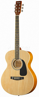 HOMAGE LF-4000-N