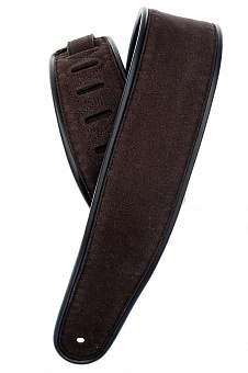 PLANET WAVES 25RVP01-DX